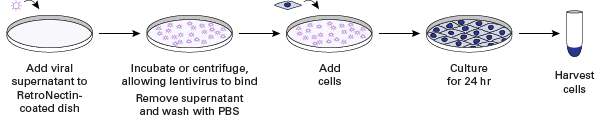 RetroNectin-bound virus transduction method