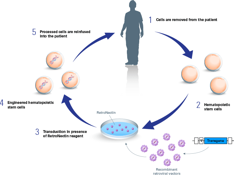 RetroNectin Regent in gene therapy