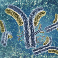 Immune profiling