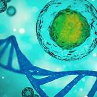 Total RNA-seq kits