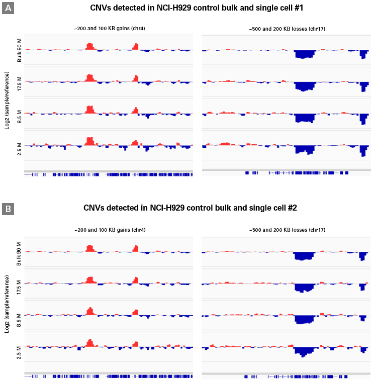 Detection of CNVs in two individual cells with PicoPLEX Gold Single Cell DNA-seq Kit