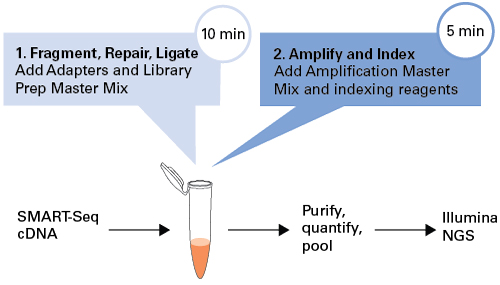 SMART-Seq PLUS Library Prep kit workflow