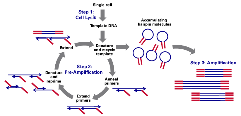 PicoPLEX technology workflow