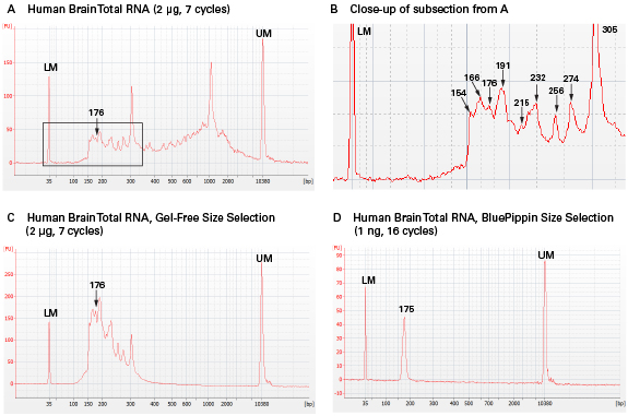 Small RNA-seq library profiles before and after  size selection.