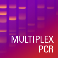 Multiplex PCR