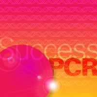 Success PCR