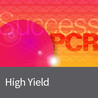 High-yield PCR products