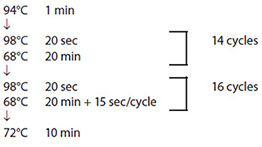 Peak calling and electropherograms of pre- and post-PCR size selection libraries.