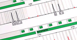Faster PCR means faster forensic analysis