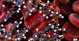 1.16 | Researchers seek early signs of neural tube defects