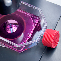 Stem cell tools