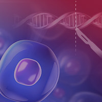 CRISPR in induced plutipotent stem cells
