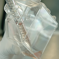 Stem Cell Media and Supplements