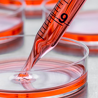 Osteoblast-inducer reagent (for animal cells)