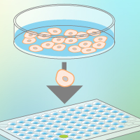 Single cell analysis