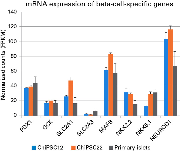 mRNA expression of beta cell specific genes