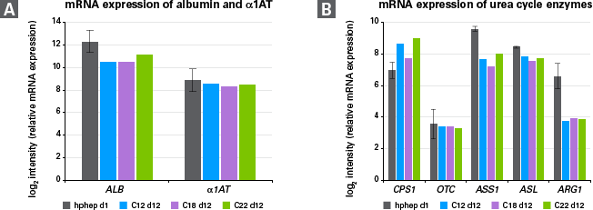 Enhanced hiPS-HEP cells display markers of mature hepatocytes.