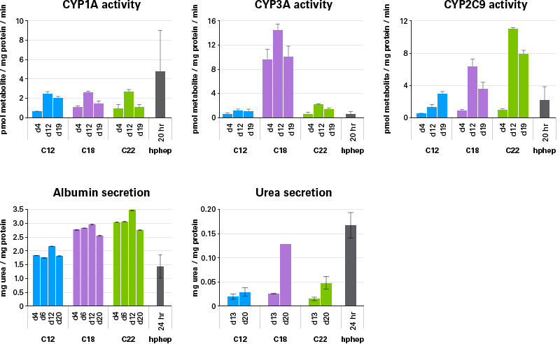 Graphs showing CYP activity and albumin and urea secretion
