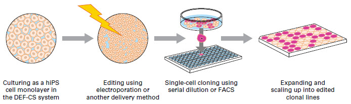 High-efficiency single-cell cloning and gene editing systems