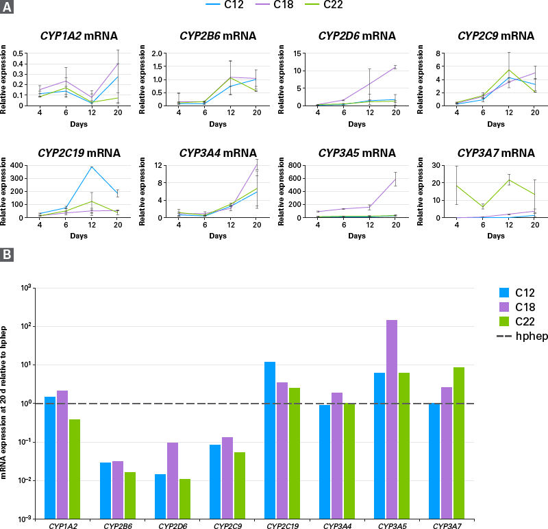 mRNA expression of eight CYP enzymes