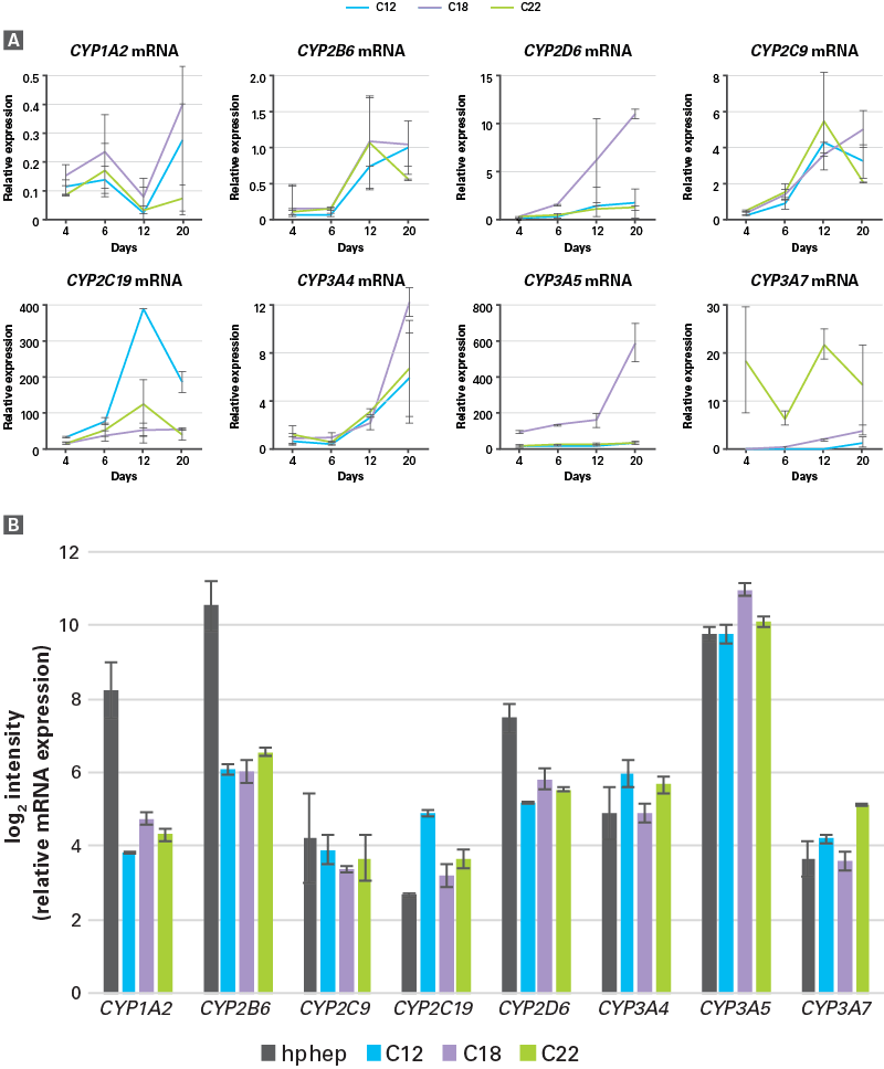 hiPS-HEP v2 cells and human primary hepatocytes (hphep) show similar CYP expression.