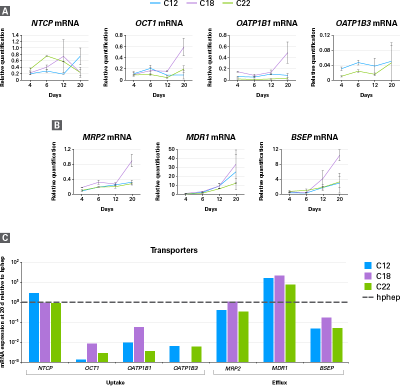 Transporter mRNA expression graphs