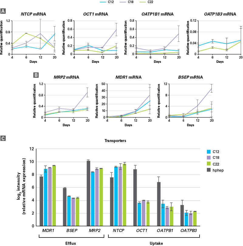 Transporter mRNA expression in hiPS-HEP v2 cells and human primary hepatocytes (hphep).