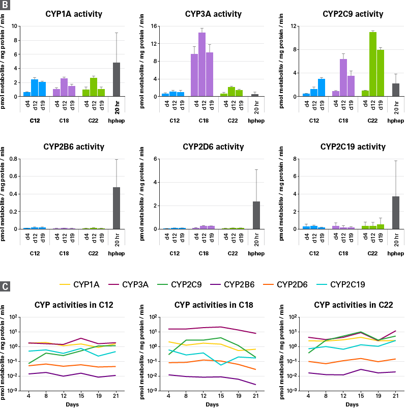  CYP activities in hiPS-HEP v2 cells and human primary hepatocytes (hphep).