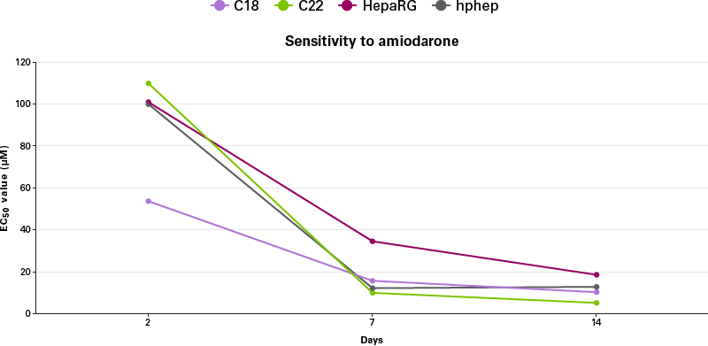 hiPS-HEP v2 cells show an increasing sensitivity after prolonged compound exposure, similar to other hepatic cell models.