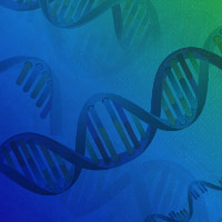 Articles showing data related to our nucleic acid purification kits