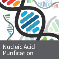 Nucleic Acid Purification