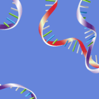 Concurrent isolation of RNA and total cellular protein from a single sample