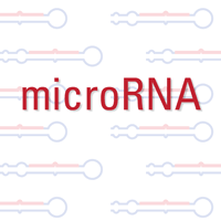 microRNA icon