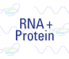 RNA + Protein icon