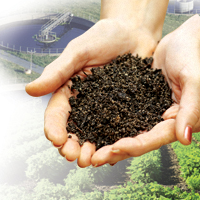 Extract and purify genomic DNA from soil and other environmental samples