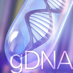 Genomic DNA purification