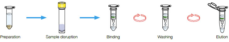 NucleoSpin RNA Stool workflow