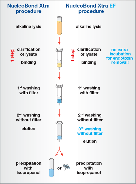 Comparing NucleoBond Xtra and NucleoBond Xtra EF procedures