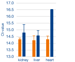 Best qPCR performance