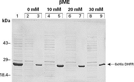 TALON resin provides exceptional purification even in the presence of BME.