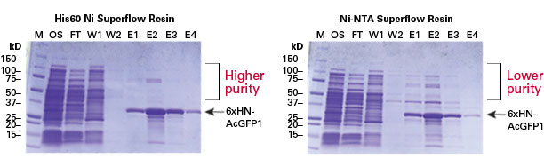 Better his-tag protein purity and yield with His60 Nickel Resin than Ni-NTA Resin