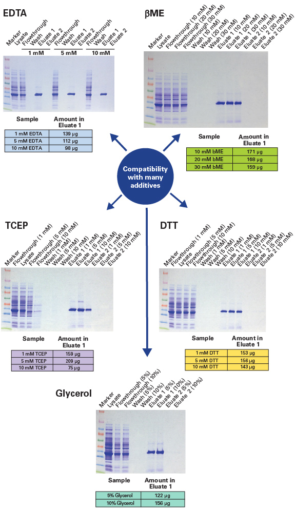 Excellent protein purification in the presence of many common additives