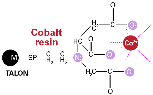Structure of a cobalt-based resin