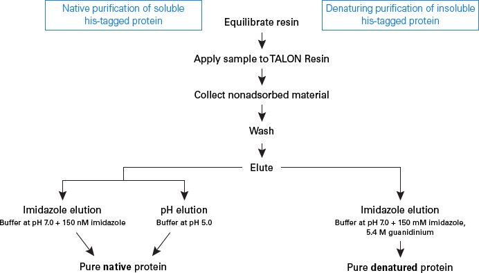 TALON resin can be used for either native or denaturing purifications.