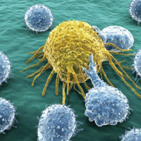 The latest news, tools, publications, and therapy options in the field of cancer research.