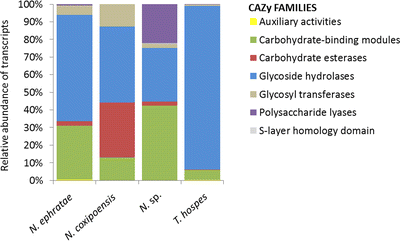 RNA-seq of the gut microbiome from four different termite species reveals a unique fingerprint of carbohydrate-active enzymes