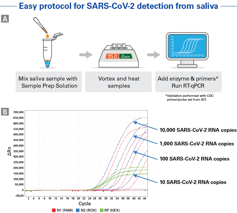 SARS-CoV-2 Saliva-swab test