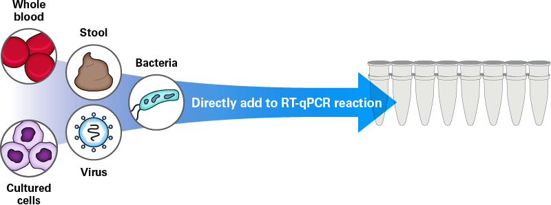 Direct RT-qPCR of crude biological samples with PrimeDirect Probe RT-qPCR Mix