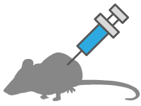 Immunize mice with vaccine targets,