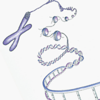 DNA methylation